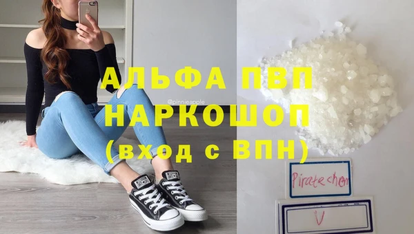 СК Балахна