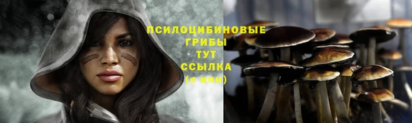 СК Балахна