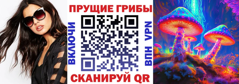 цены наркотик  Саратов  hydra как зайти  Псилоцибиновые грибы Cubensis 